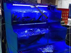 -韩妹鱼庄·泸定老字号(泸定店)