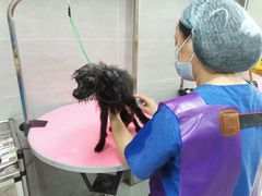 -宠福鑫康馨动物医院·骨科·眼科