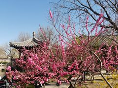 -三里河公园