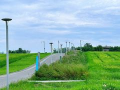 -白鹭湾湿地公园