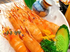 -水木锦堂·自助铁板烧(五道口购物中心店)