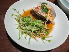 -CHIC1699远洋私厨
