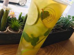 薄荷绿柠檬茶-小鱼泡芙