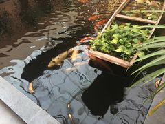 -百丈园(陈村店)