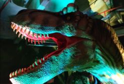 -恐龙探索乐园(磁器口店)