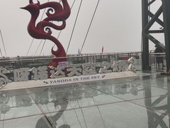 -呀诺达热带雨林