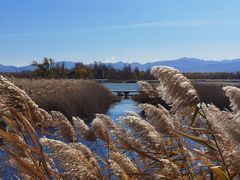 -野鸭湖国家湿地公园