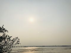 -宝安西湾红树林湿地公园