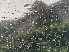 -四川大学(华西校区)