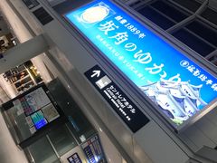 -中部国际机场