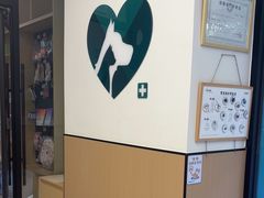 -瑞派康怡24h宠物医院·犬猫医疗中心·微创绝育(瑞景分院)
