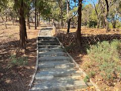 -北京西山国家森林公园