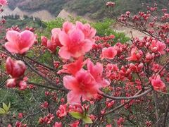 -大围山峡谷漂流