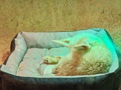 -酷嗒动物文化乐园(cutezoo西溪乐天城店)