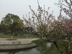 -江南大学(蠡湖校区)