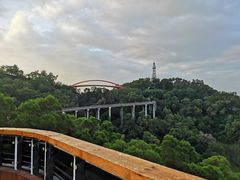 -金鸡山公园
