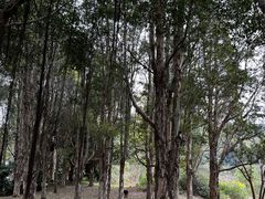 -福建鲤鱼洲酒店