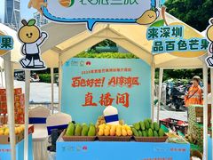 -京东电器城市旗舰店(深圳华强北店)
