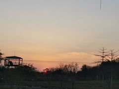 -天适樱花悠乐园