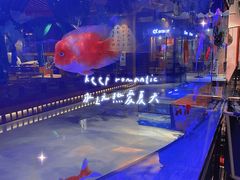 -木子塘汗蒸生活馆(财富港店)