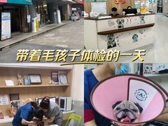 -谐和益家动物医院·免疫绝育·血液透析·宠保定点医院(高新伊藤分院)