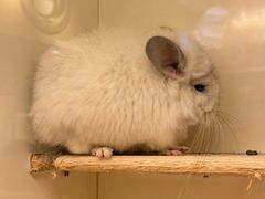 -龙猫仔乐园(惠福东路店)