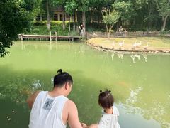 -乌村