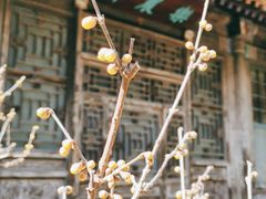 -颐和园