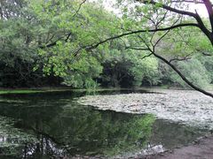 -紫金山天文台