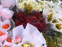 -循礼门鲜花花市(武汉循礼门店)