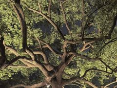 -杭州西湖风景名胜区-满觉陇四眼井