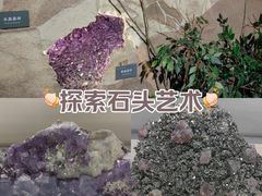 -中国地质博物馆
