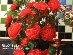 IMG_1473-Pasha帕夏土耳其餐厅(南昌路店)