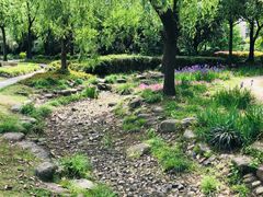 -苏州河梦清园环保主题公园