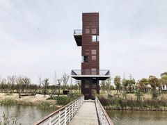 -春花秋色城市公园