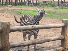 -大连森林动物园