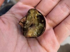 -粒上皇(崇文门店)