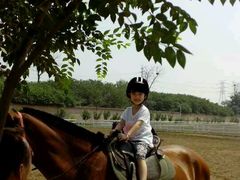 -月河湾马术俱乐部(朝阳店)