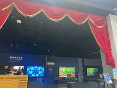 -Sony Store索尼(深圳深业上城店)