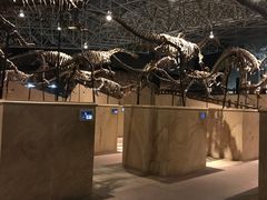 -世界恐龙谷景区