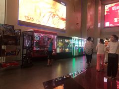 -首都电影院(天津店 中国巨幕)