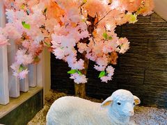 -毛辣果·贵州红酸汤牛肉火锅(西单店)