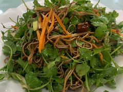 -乐山饺子城(长江北街店)