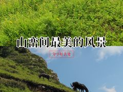 -灵山