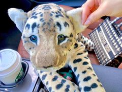 -星巴克(吉林财富广场店)