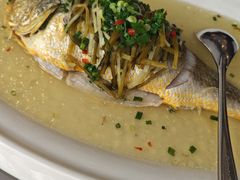 -老洋房花园饭店(绍兴路店)