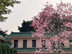 -广东圆玄道观