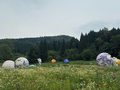 -武陵山森林公园