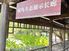 -东湖落雁景区