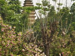 -洛阳白马寺